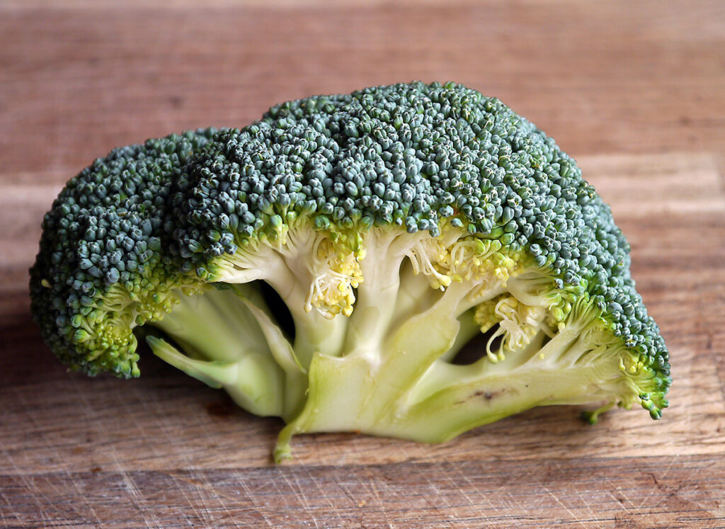 AFE-IQF-Freezer-Broccoli