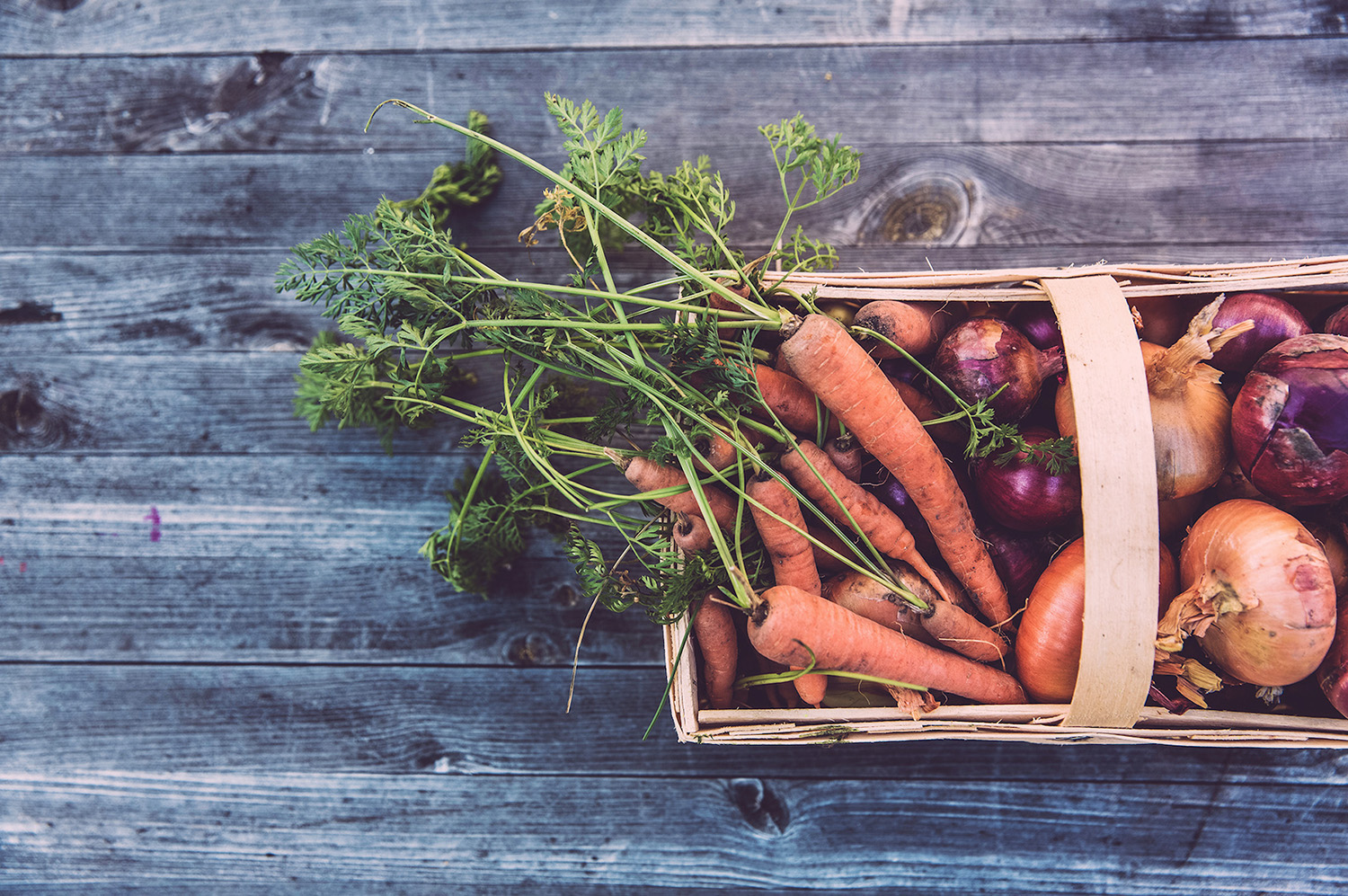 a small basket of carrots and onions