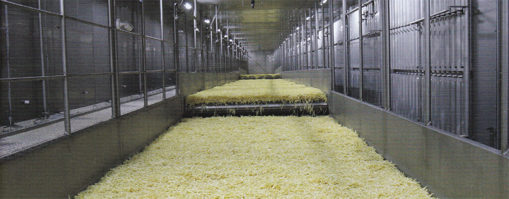 AFE-IQF-Freezer-Potato-World