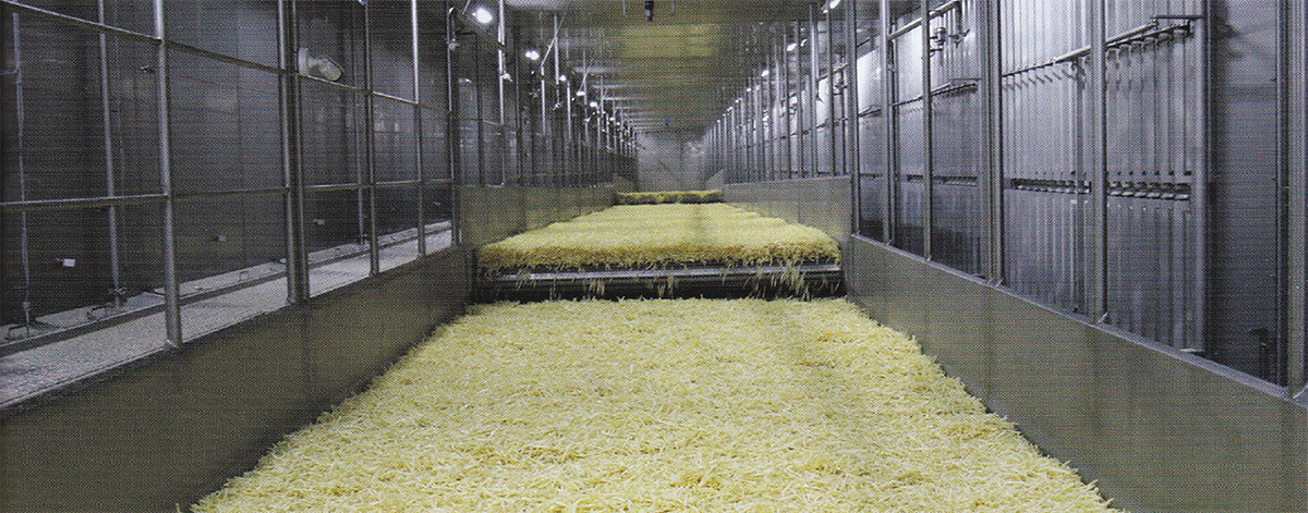 frozen fries on a conveyor belt